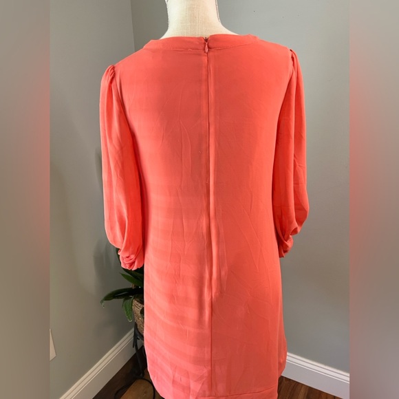 Eva Mendez 3/14 sleeve shift dress - Picture 6 of 8